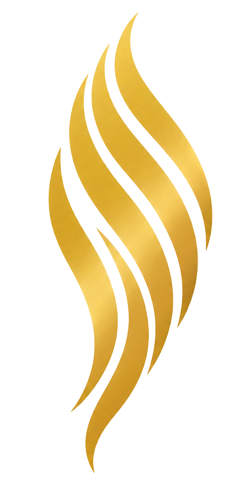 VBL_Emblem